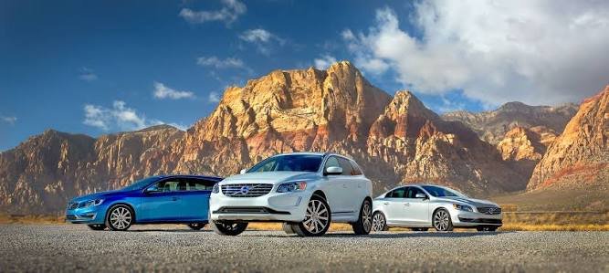 Rental Cars